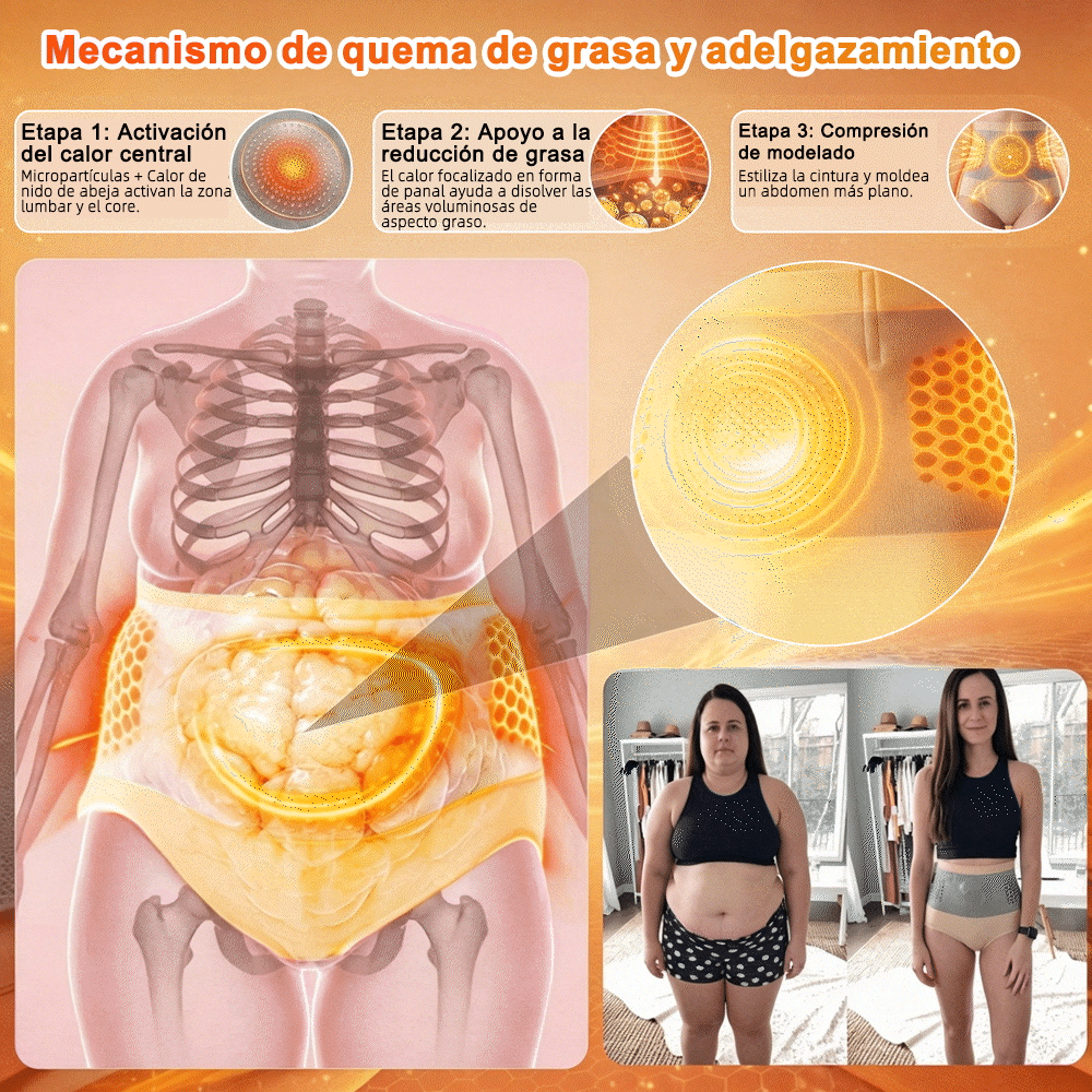 🔥 Offerta Ufficiale -70% | BQODQO® Shorts Modellanti 4-in-1 con Moringa & Berberina👨‍⚕️ | Silhouette più Snella, Tonica e Leggera Ogni Giornonk-0613-v4